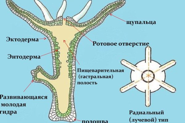 Кракен зеркало